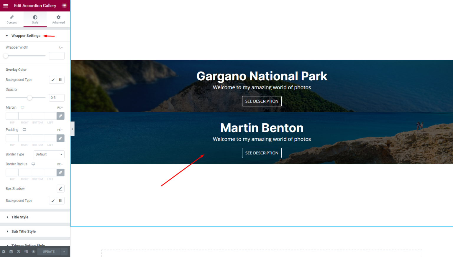 How To Use Accordion Gallery Widget Of EnterAddons Enter Addons